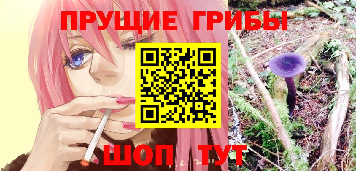 Галлюциногенные грибы Psilocybine cubensis Куйбышев