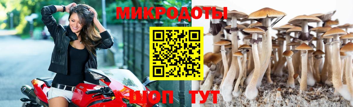 Куйбышев  Псилоцибиновые грибы Cubensis  Вход с VPN  Псилоцибиновые грибы прущие грибы 